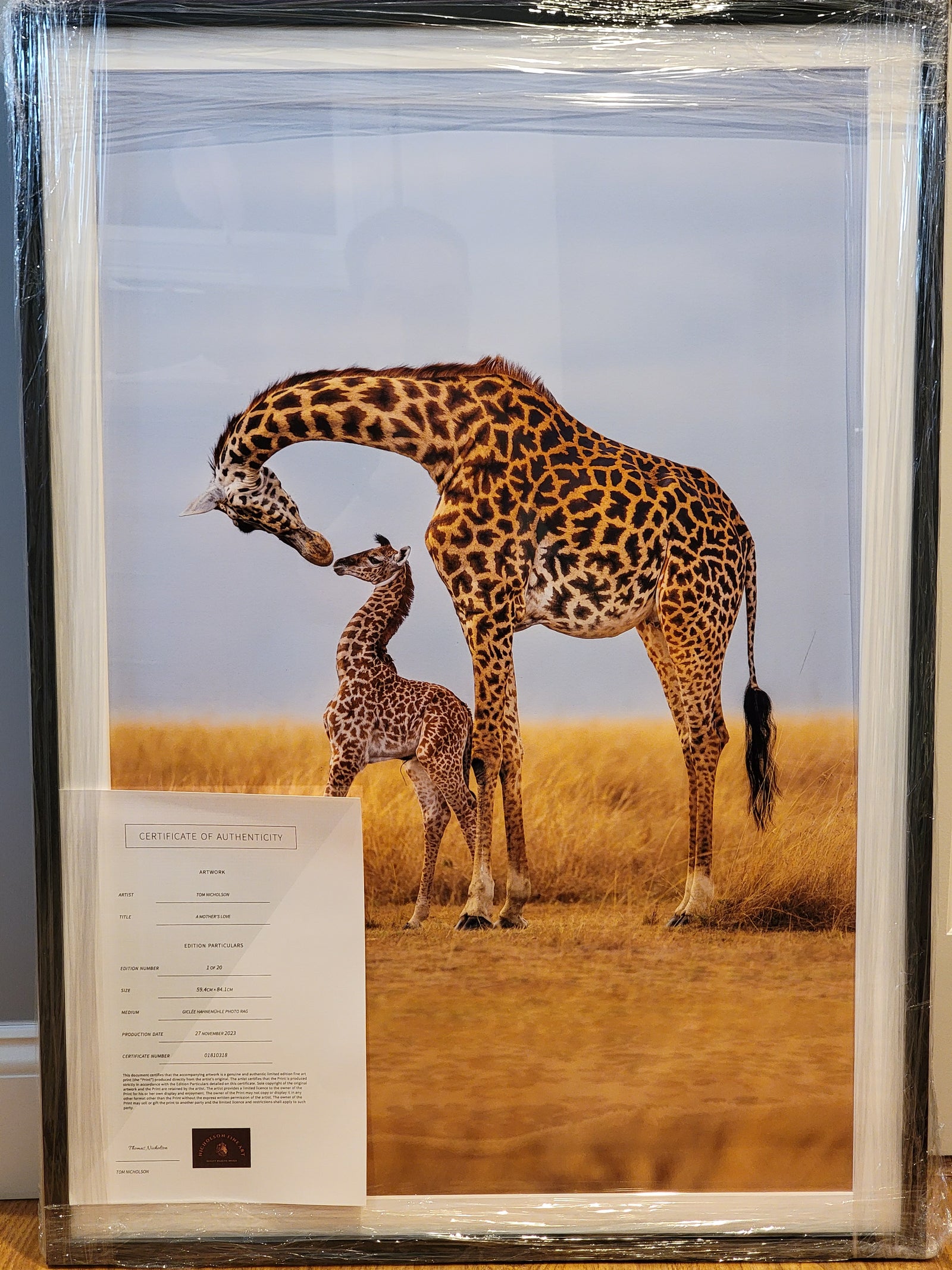 Specifics about how our prints are shipped