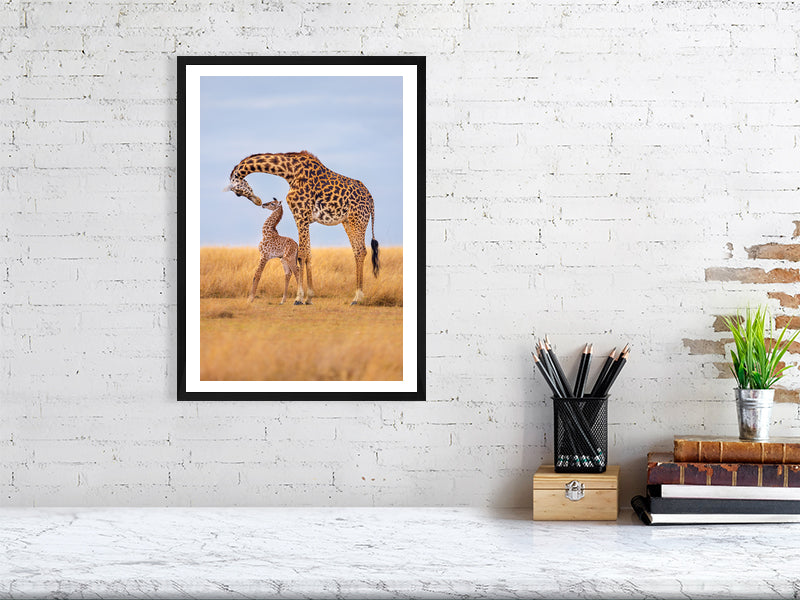 In the African wilderness, a framed fine art photograph captures a mother giraffe and her newborn sharing a tender moment, embodying universal love and the unbreakable bond between species. By Thomas Nicholson