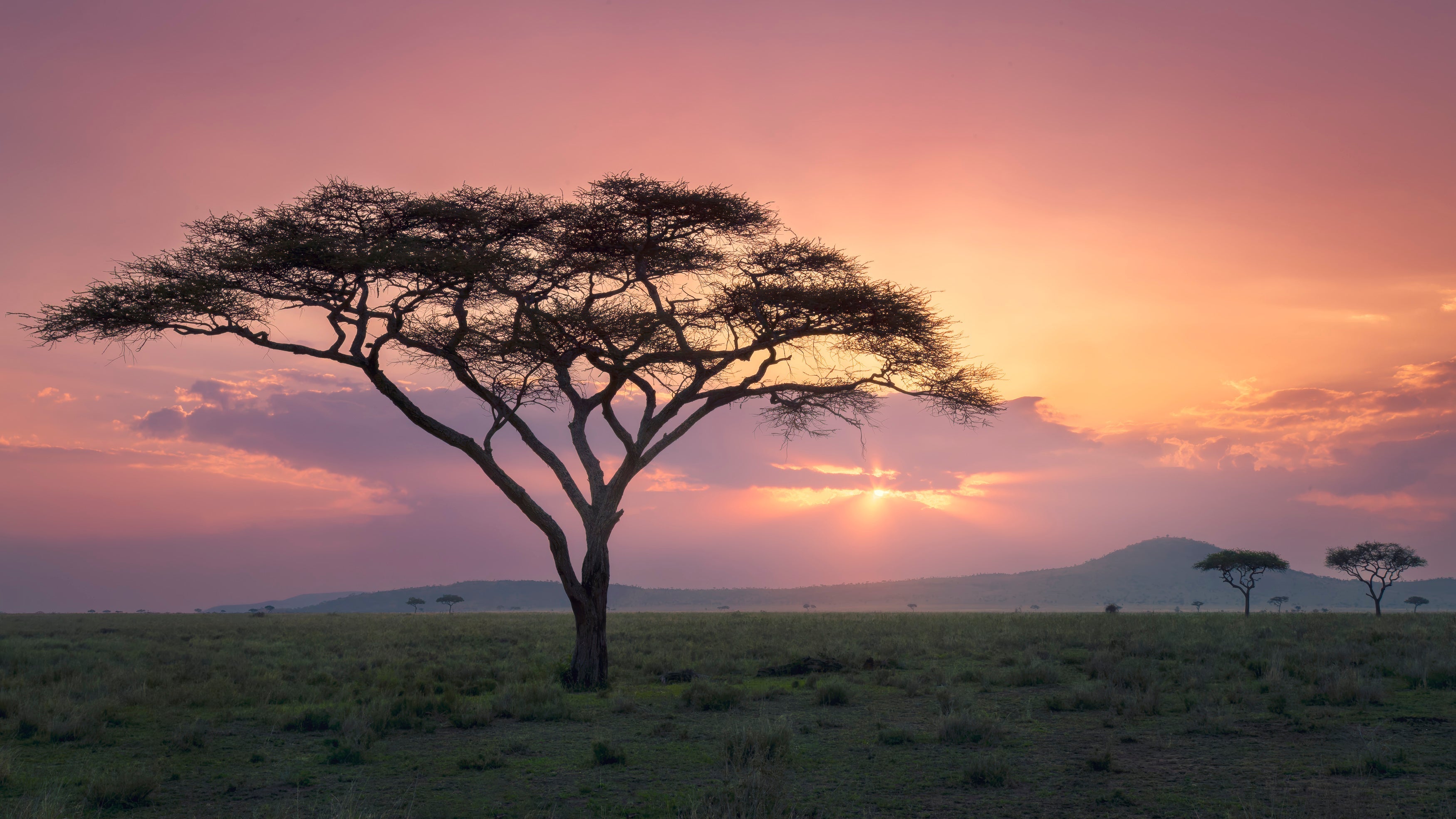 African Skies