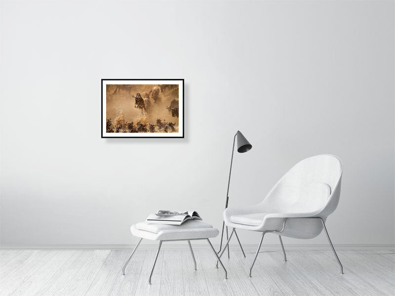 Fine art framed photograph: In the wild, wildebeest embark on a daring journey through the Mara River. One defies gravity, leaping above the herd, embodying the untamed essence of the savannah. By Edith Garneau