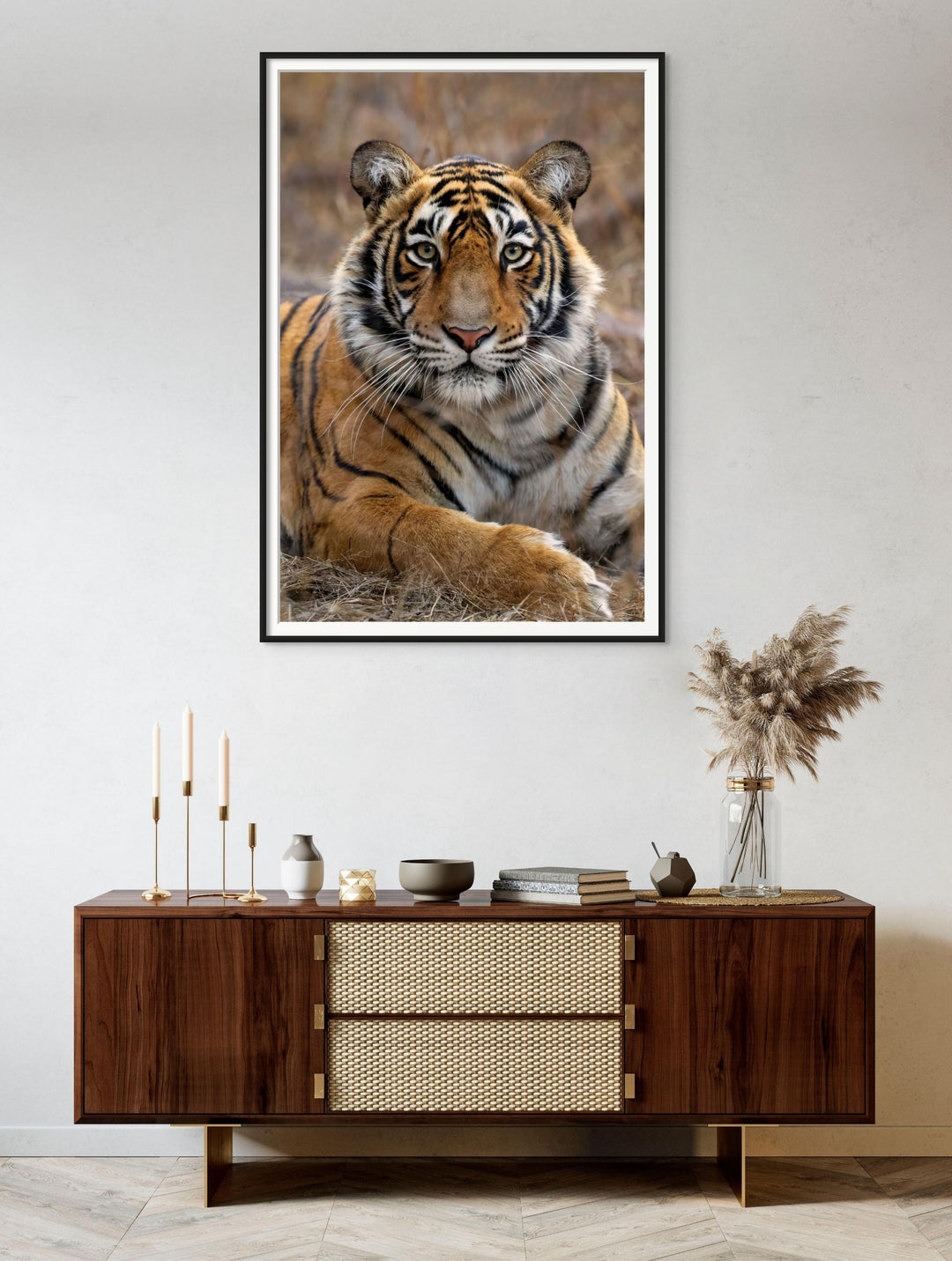 Fine art framed photograph: 'The Princess of the Park,' a young tiger in Ranthambhore National Park, exudes regal grace, poised on the cusp of her wild destiny. By Thomas Nicholson