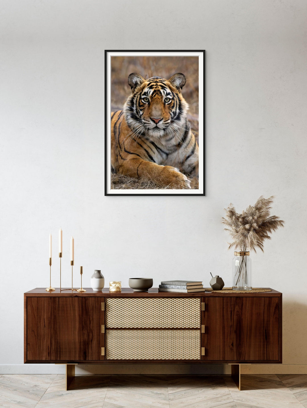 Fine art framed photograph: 'The Princess of the Park,' a young tiger in Ranthambhore National Park, exudes regal grace, poised on the cusp of her wild destiny. By Thomas Nicholson