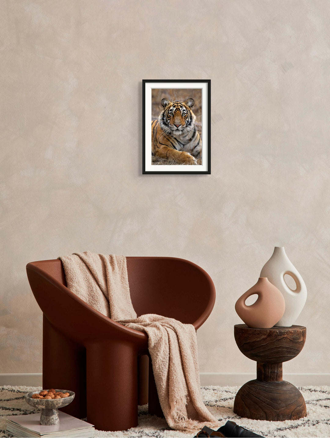 Fine art framed photograph: 'The Princess of the Park,' a young tiger in Ranthambhore National Park, exudes regal grace, poised on the cusp of her wild destiny. By Thomas Nicholson