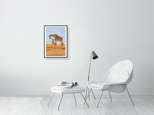 In the African wilderness, a framed fine art photograph captures a mother giraffe and her newborn sharing a tender moment, embodying universal love and the unbreakable bond between species. By Thomas Nicholson