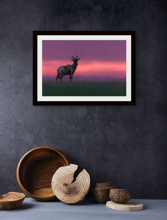 Twilight watch