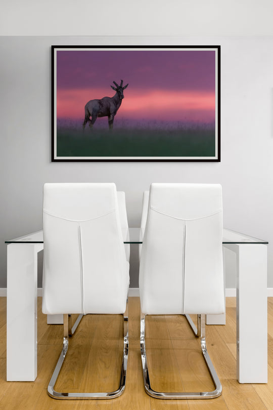 Twilight watch