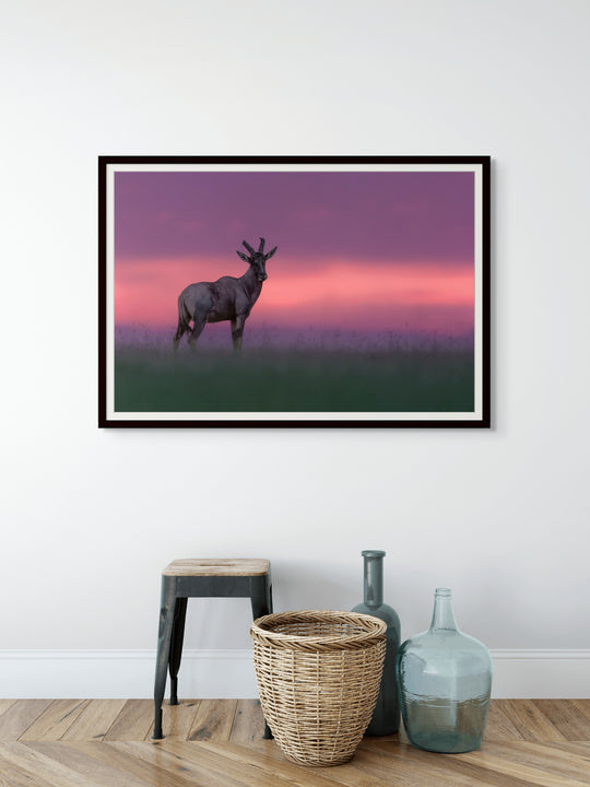 Twilight watch