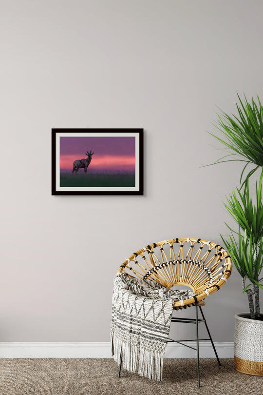 Twilight watch