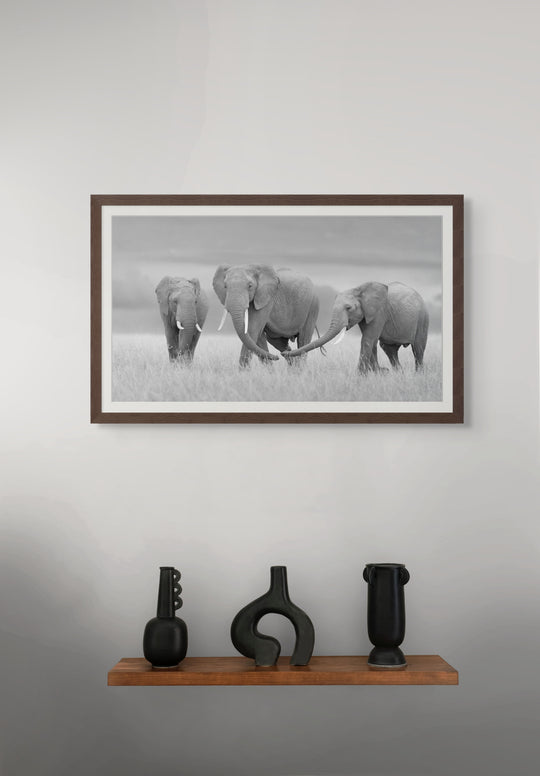 The Three Amigos - B&W