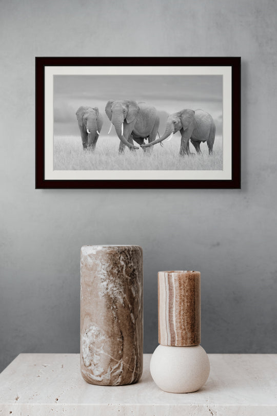 The Three Amigos - B&W