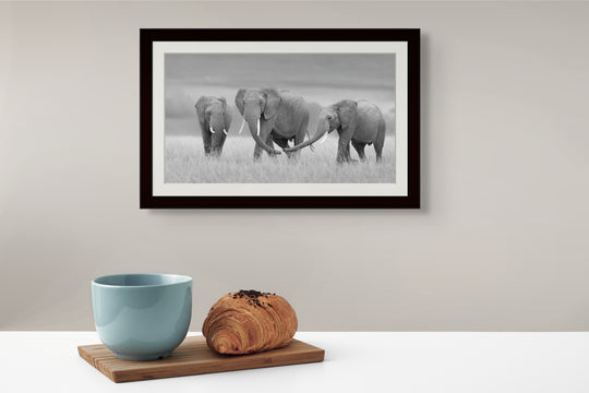 The Three Amigos - B&W