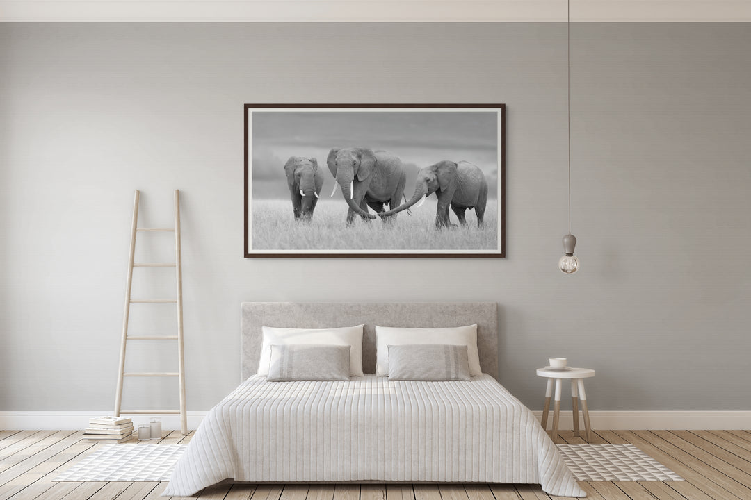 The Three Amigos - B&W