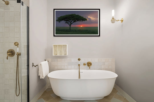 African twilight
