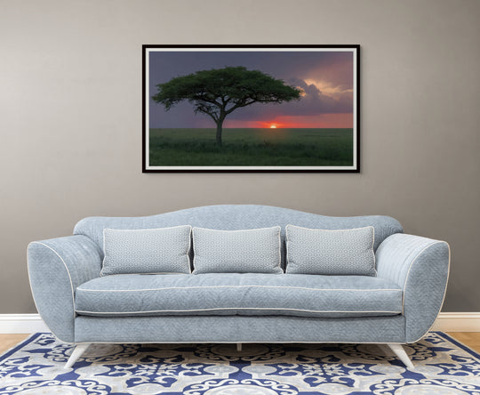 African twilight